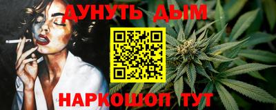 дмт Гатчина