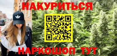дмт Гатчина