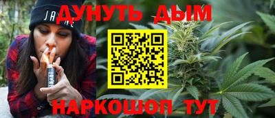 дмт Гатчина