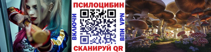 сколько стоит  Кисловодск  Галлюциногенные грибы прущие грибы 