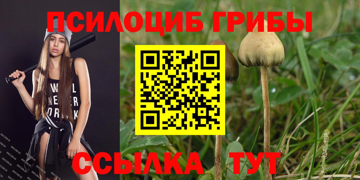 Галлюциногенные грибы мицелий Кисловодск