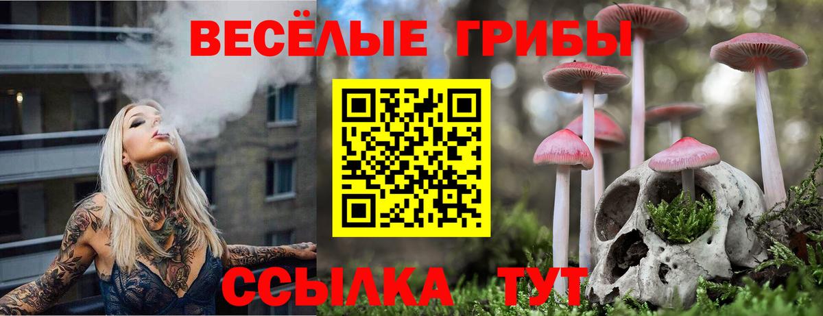 купить закладку  Вход с VPN  Кисловодск  Галлюциногенные грибы ЛСД 