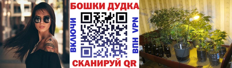 что такое наркотик  Кисловодск  Канабис Ganja 